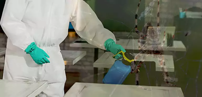 Why Buyers Still Want Homes With Pest Infestations in Rancho Cucamonga, CA?